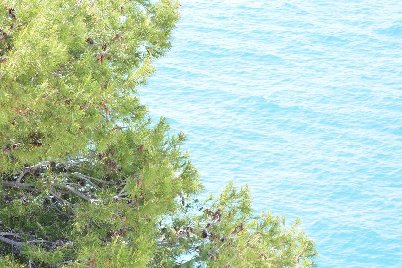 Blancos Rooms Hotel Peñíscola Eksteriør billede